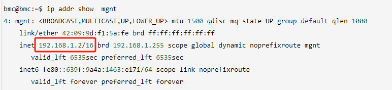 MGMT Port IP Query Command Output Screenshot