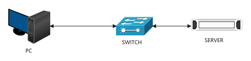 PC-Switch-Server Basic Network Connection Topology Diagram